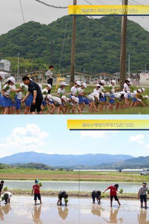 4小学校田植え１