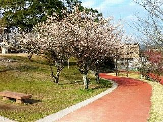 勝盛公園遊歩道