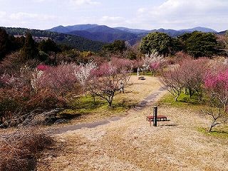 八木山花木園