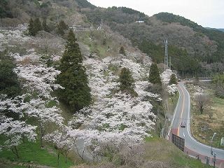 八木山展望公園