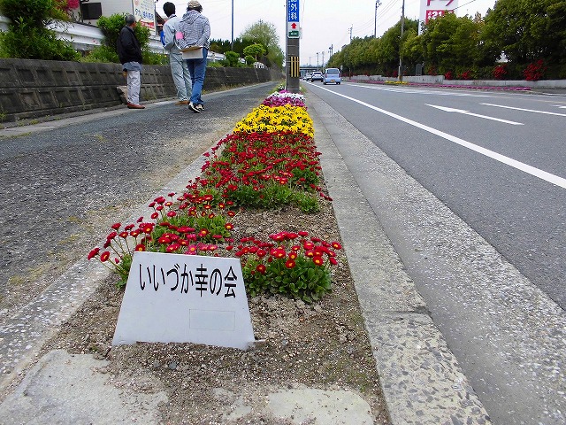 各種花の開花の様子