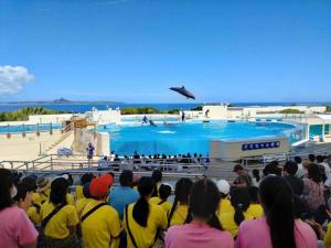 20250821少年の船2