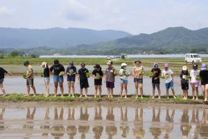 20250618椋本小田植体験2