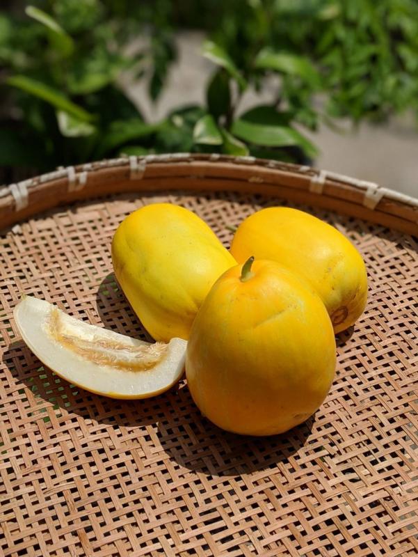 まくわうり/百笑の画像