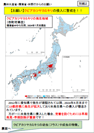 クビアカツヤカミキリに関する資料の画像1
