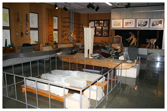 常設展示室の画像3