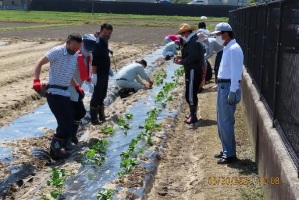  まちづくり協議会の活動の画像4