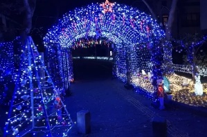 まちなかイルミネーション大作戦の画像