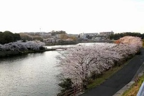 鳥羽公園の画像
