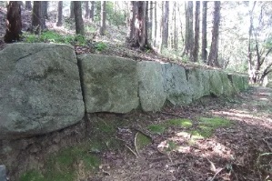 国指定史跡　鹿毛馬神籠石の画像