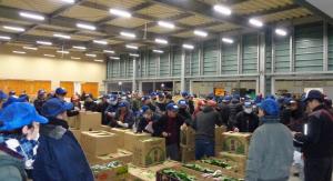 にぎわう初競り