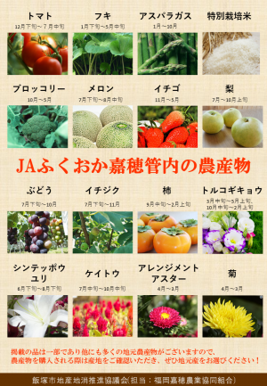 地産地消チラシ2