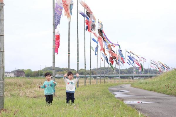 遠賀川の河川敷を泳ぐ鯉のぼり