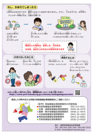 セアカゴケグモチラシ2