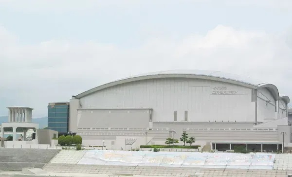 イイヅカコスモスコモンの画像