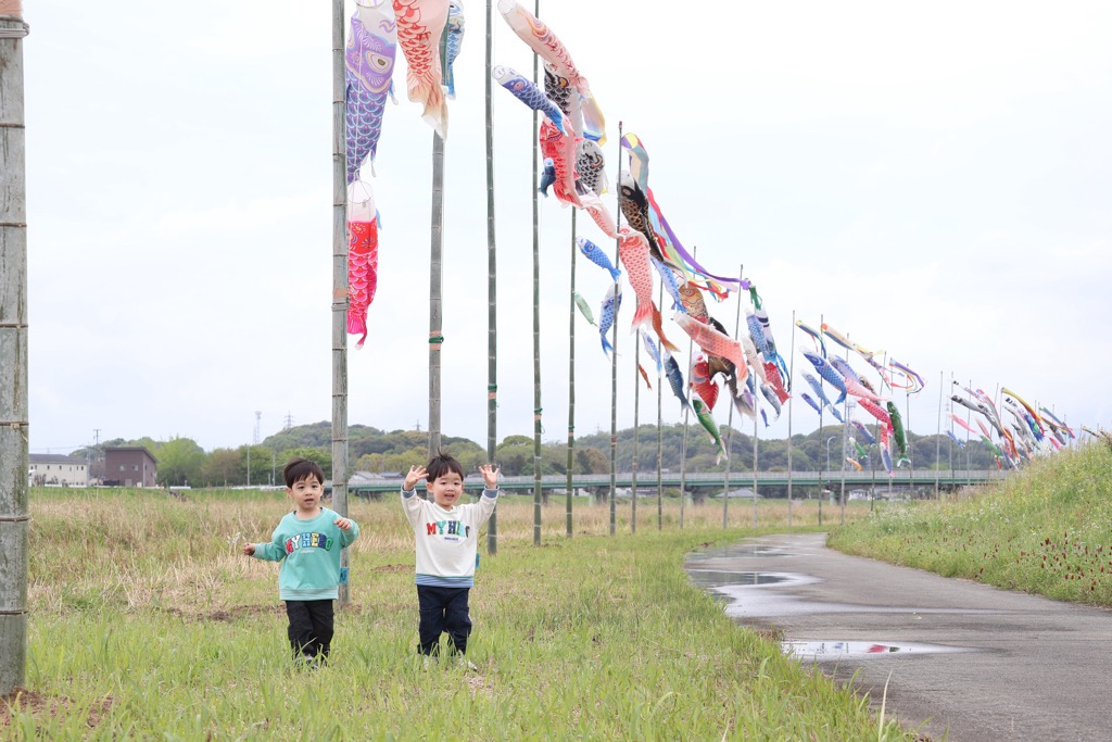 遠賀川の河川敷を泳ぐ鯉のぼり